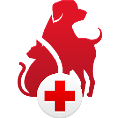 Pet First Aid